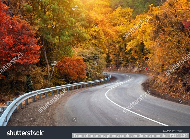 Tranh dán tường phong cảnh con đường mùa thu T321-236